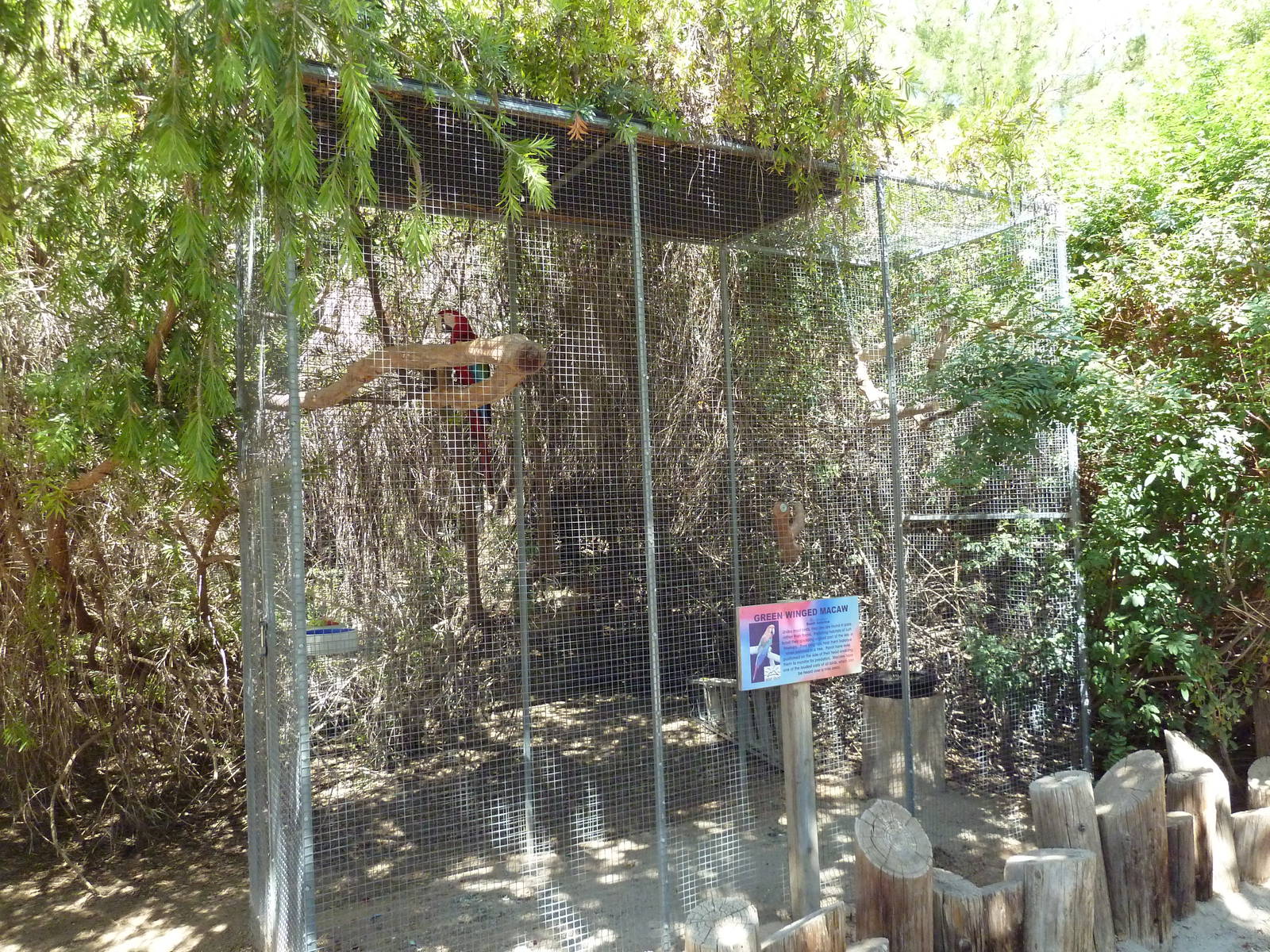 Macaw Exhibit