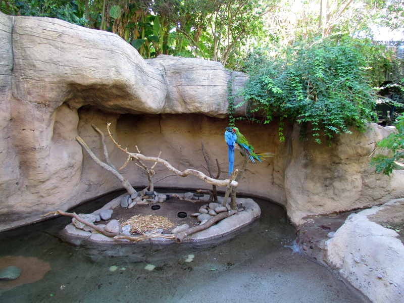 Macaw Exhibit