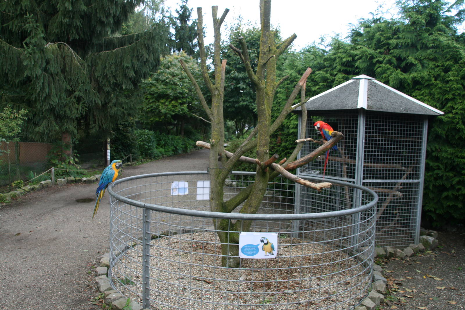 Macaw exhibit