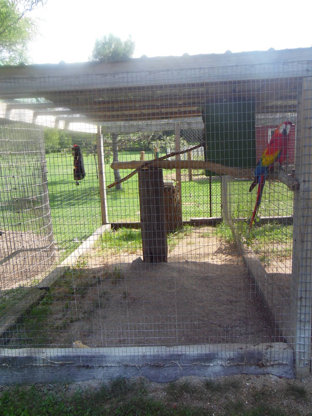 Macaw Exhibit