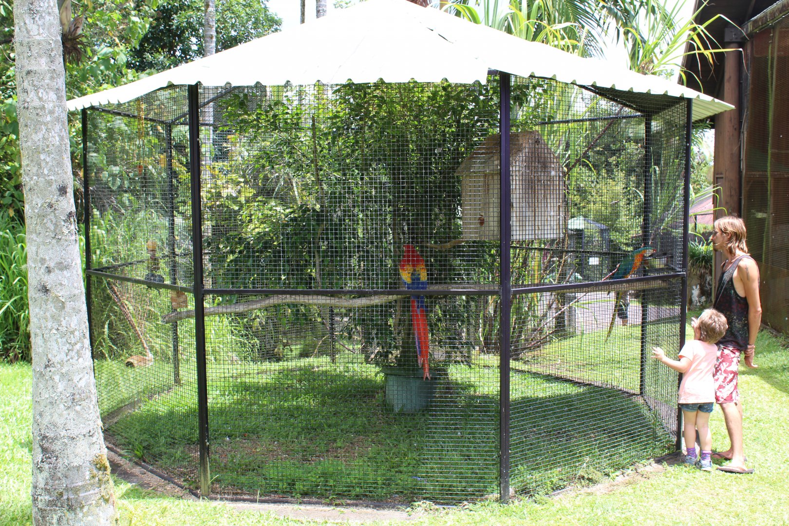Macaw Exhibit