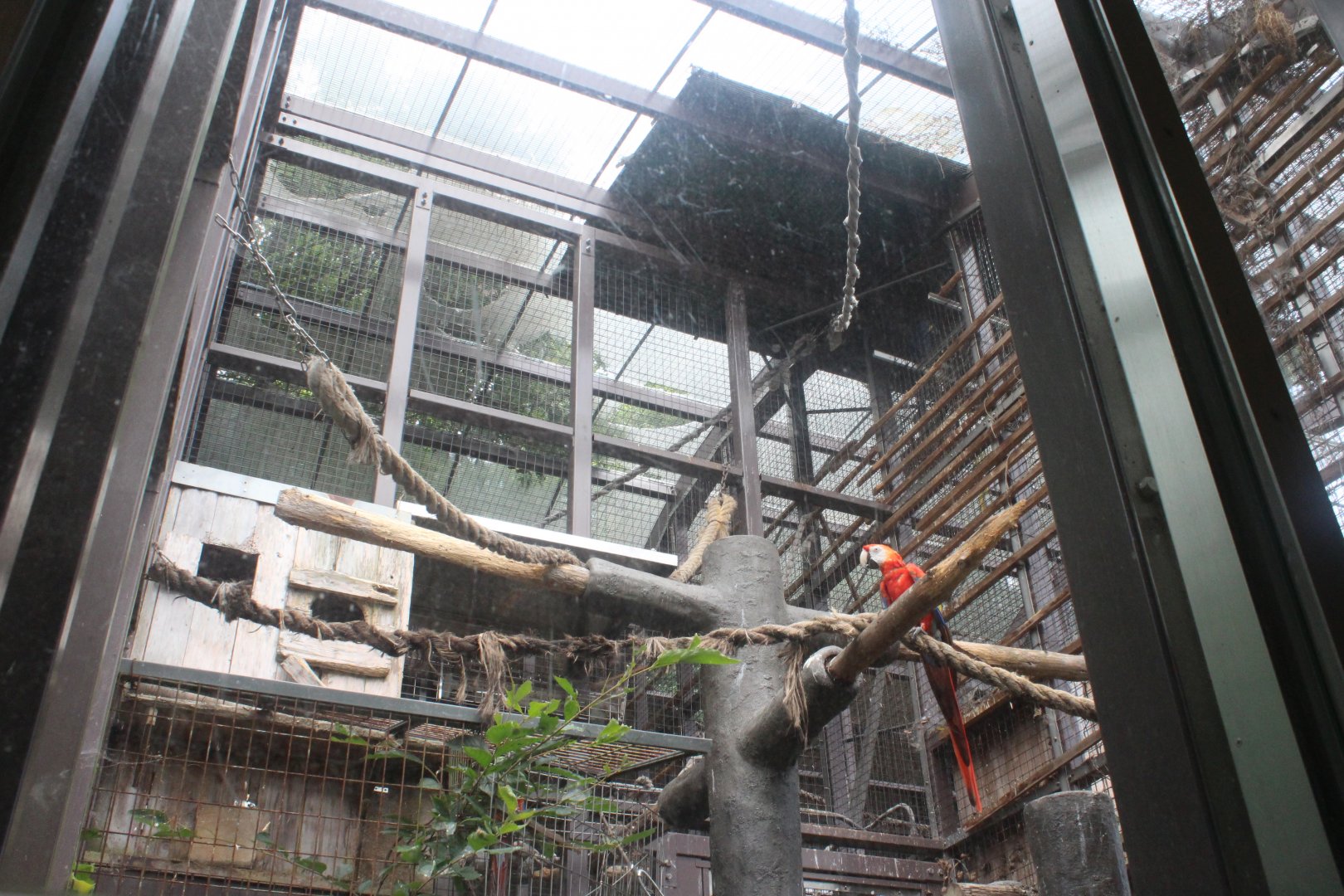 Macaw exhibit