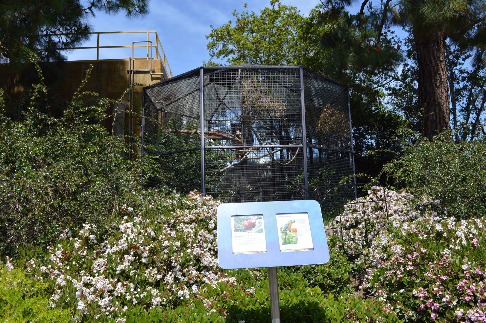 Macaw Exhibit