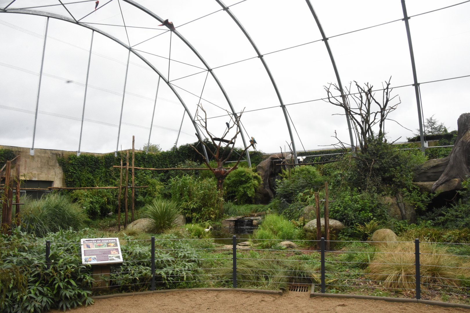 Macaw free-flight aviary