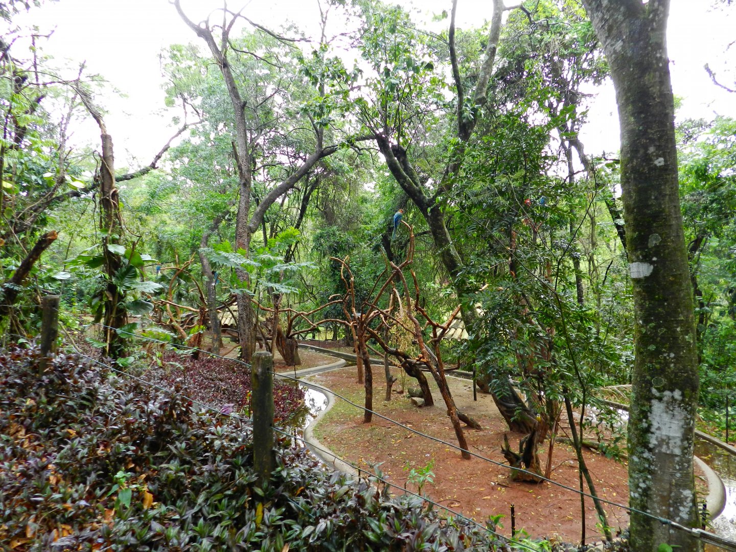 Macaw islands - Zooparque Itatiba