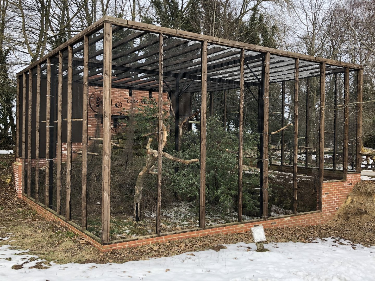 Macaw Kingdom (?) at Tropical Butterfly House (March 2023)