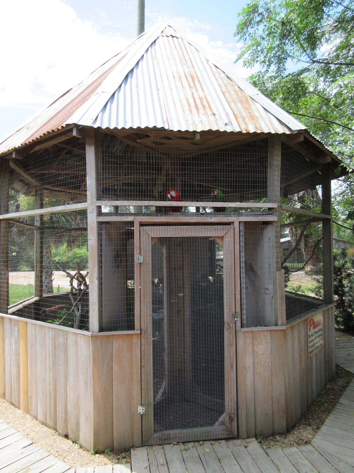 Macaw + Kookaburra Exhibits