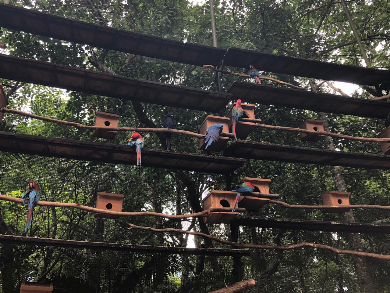 Macaw nesting areas - parque das aves