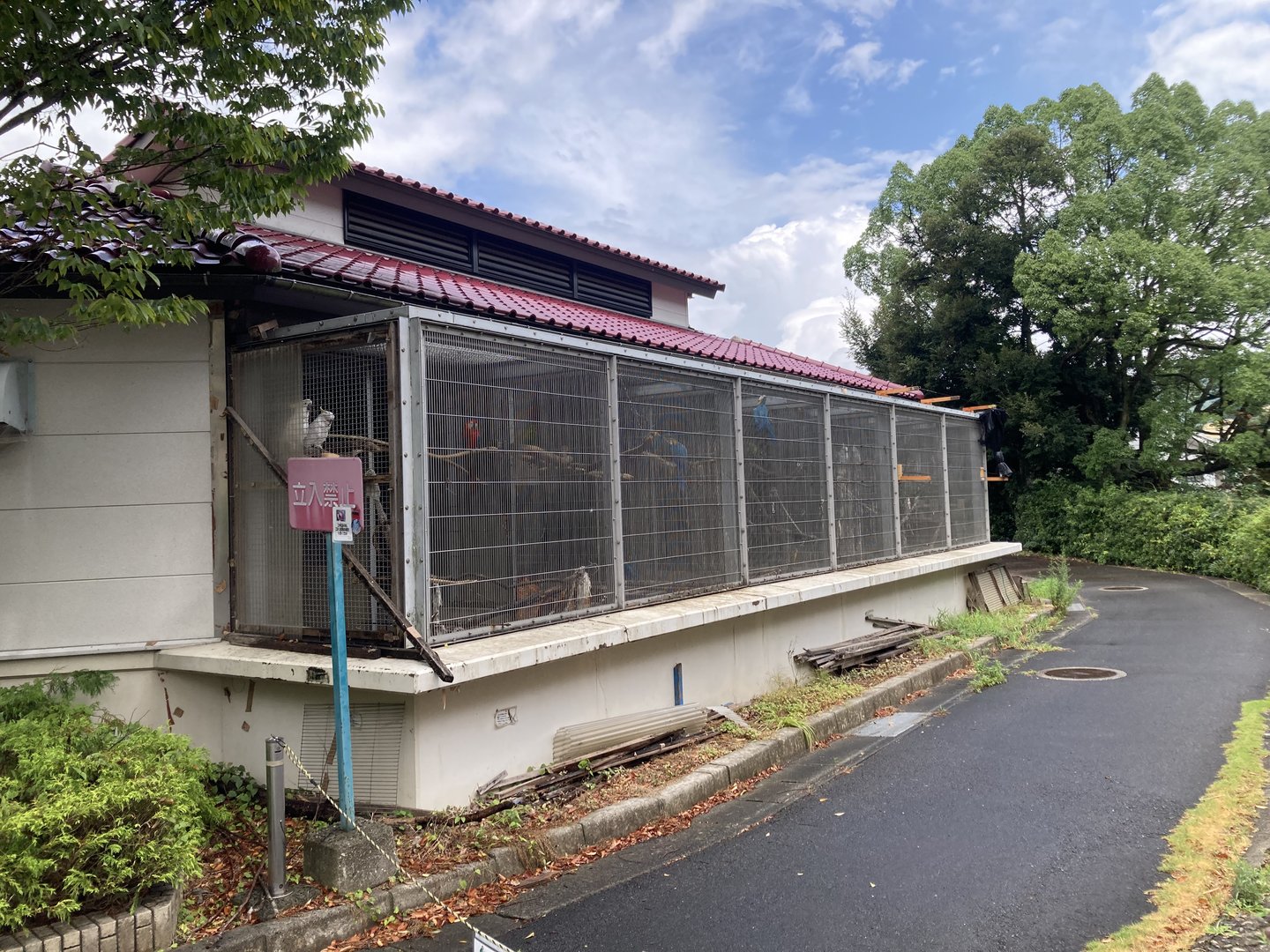 Macaw off show holding