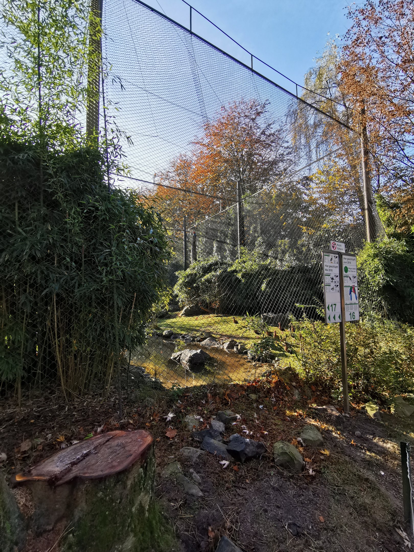 Macaw outdoor aviary - Tierpark Hagenbeck