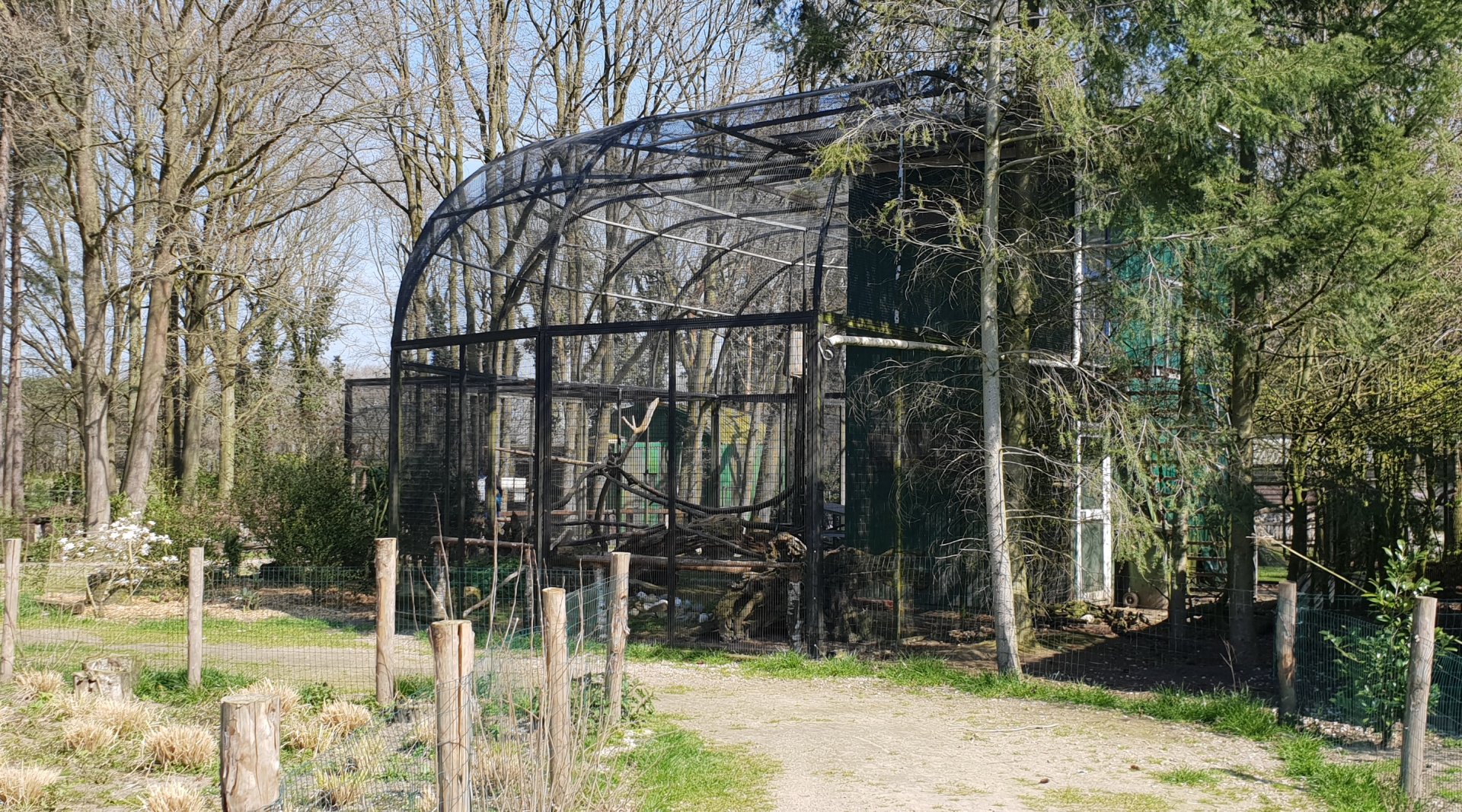 Macaw - Pheasant aviary