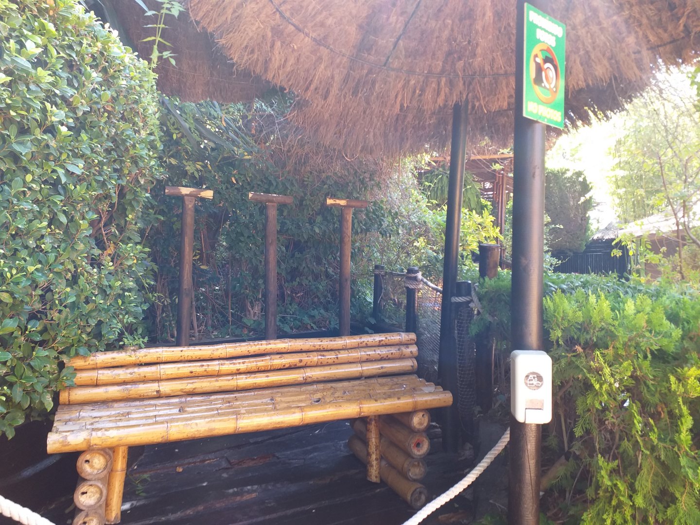 Macaw photography spot -MundoMar Benidorm (2021)