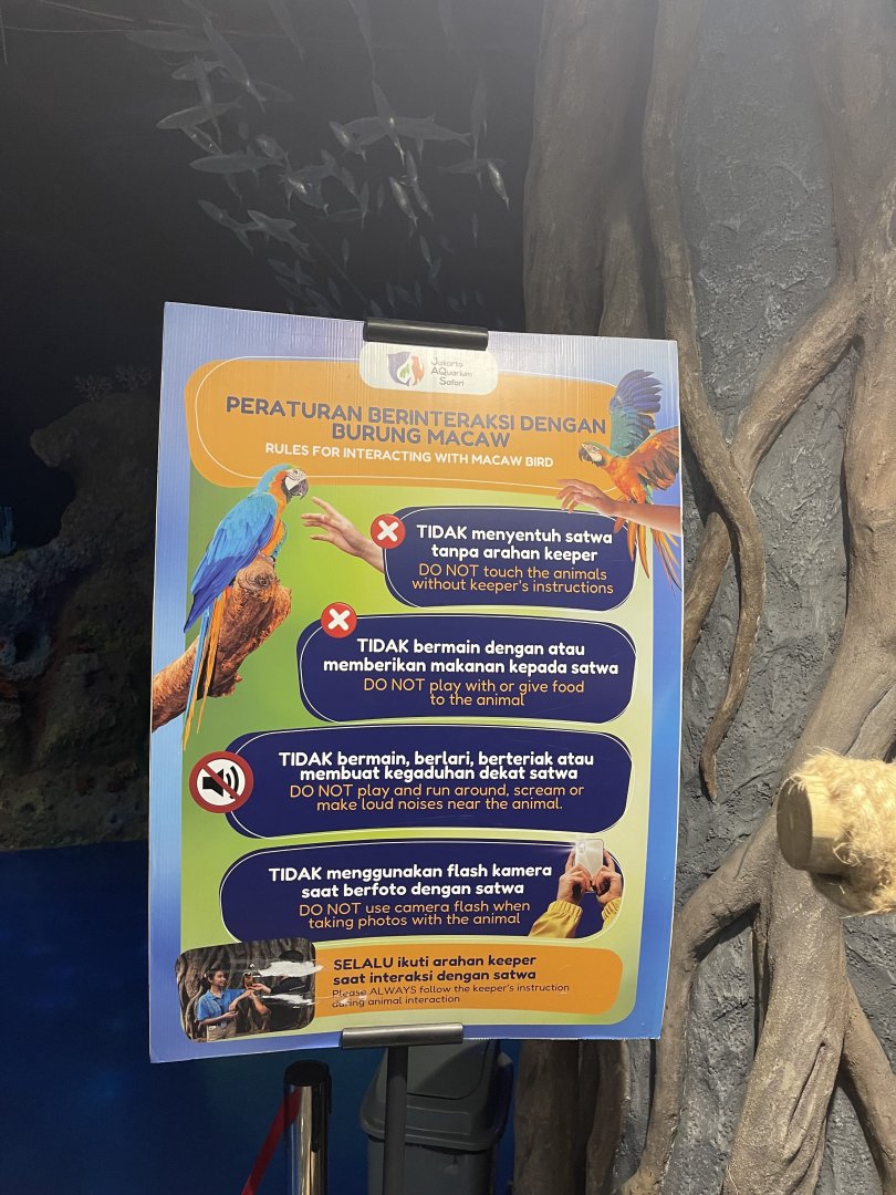 macaw rules signage