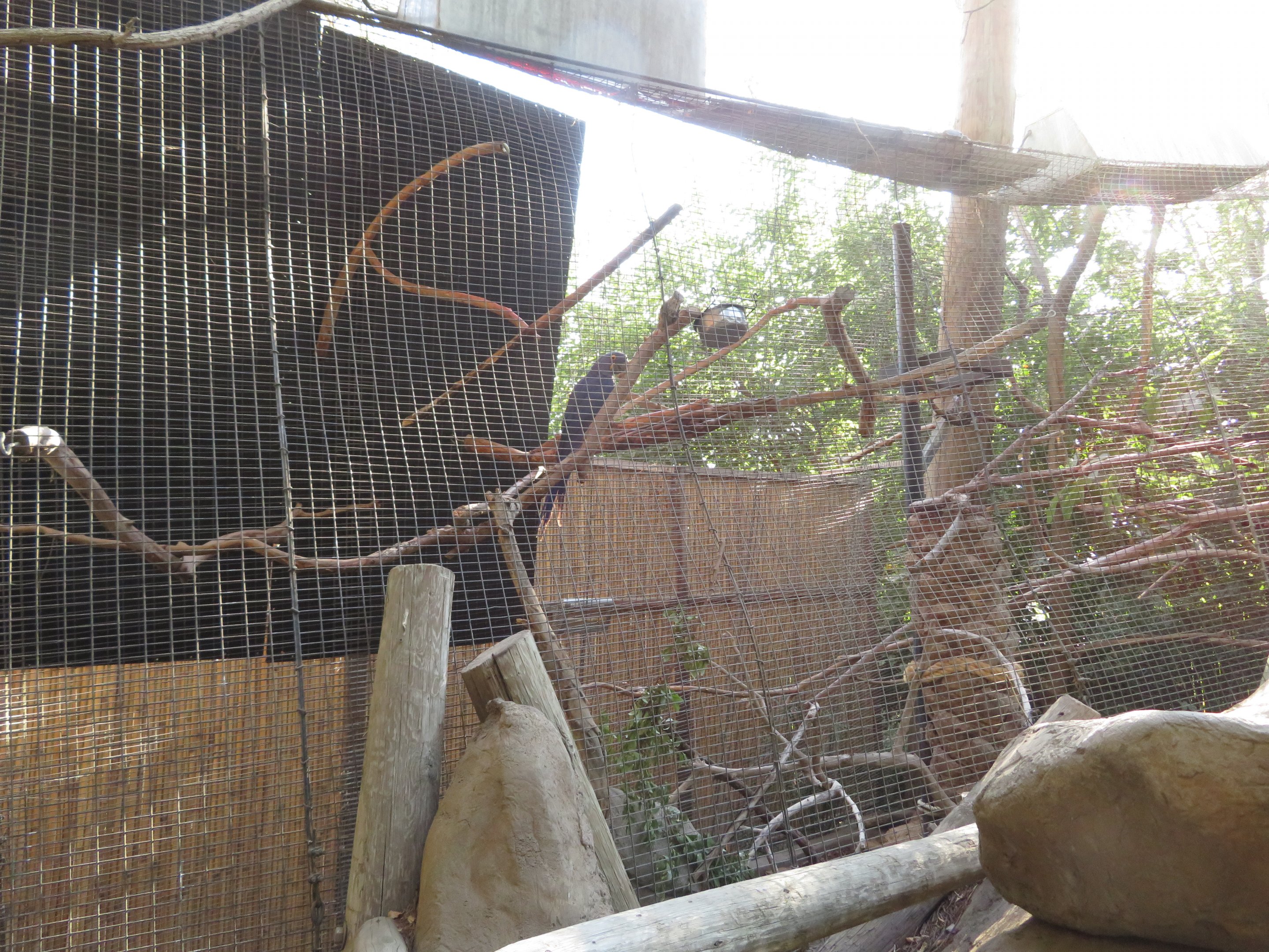 Macaw Side Enclosure