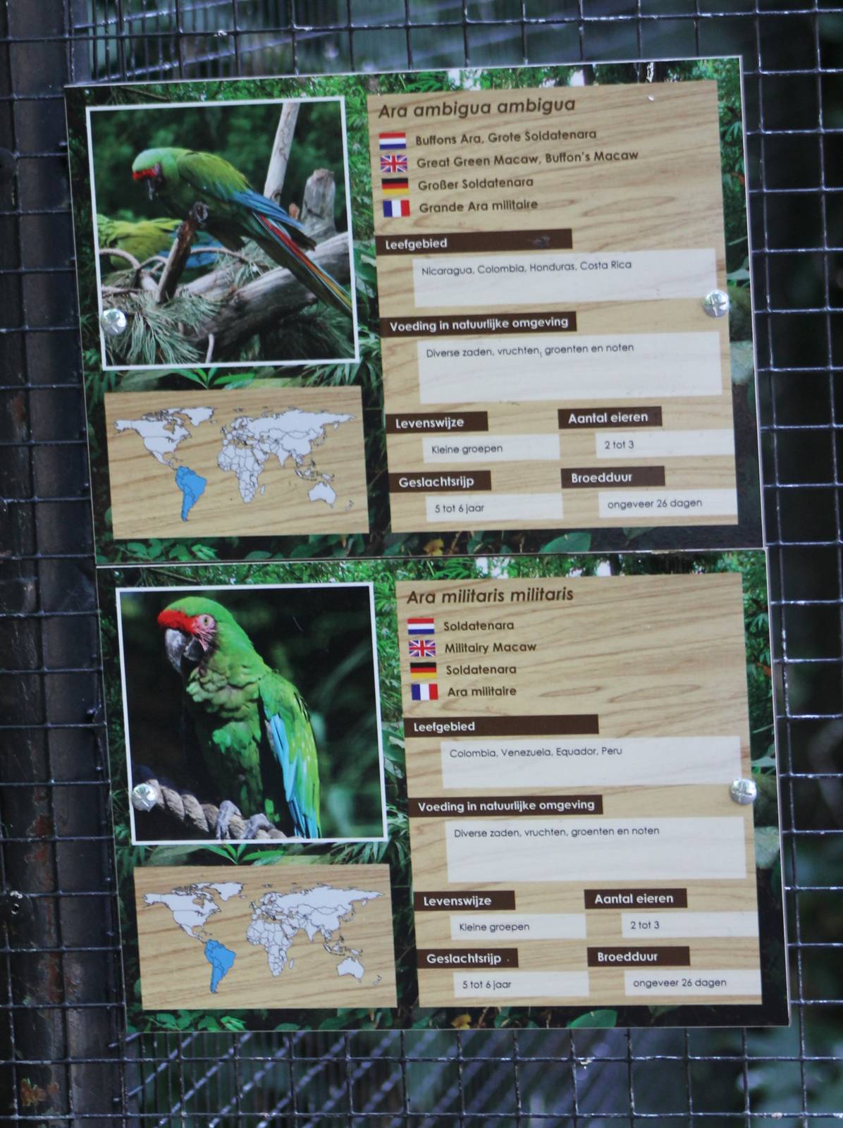 Macaw signs