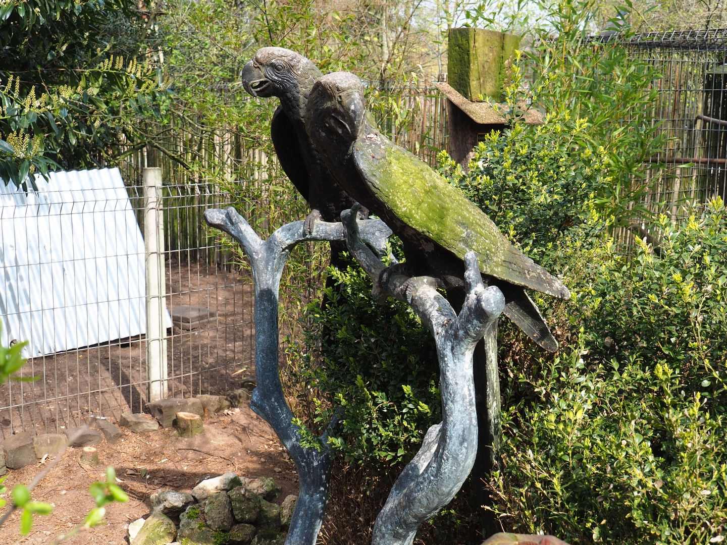 Macaw statues, 2019-04-06