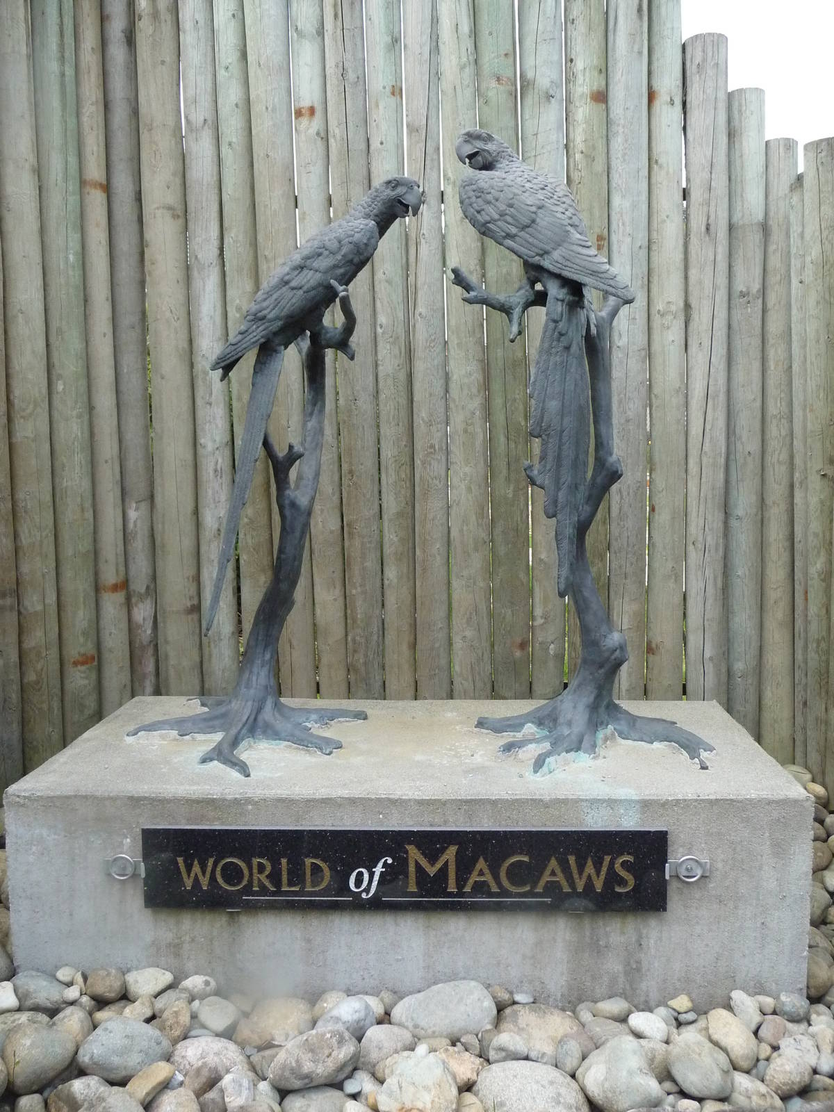 Macaw Statues
