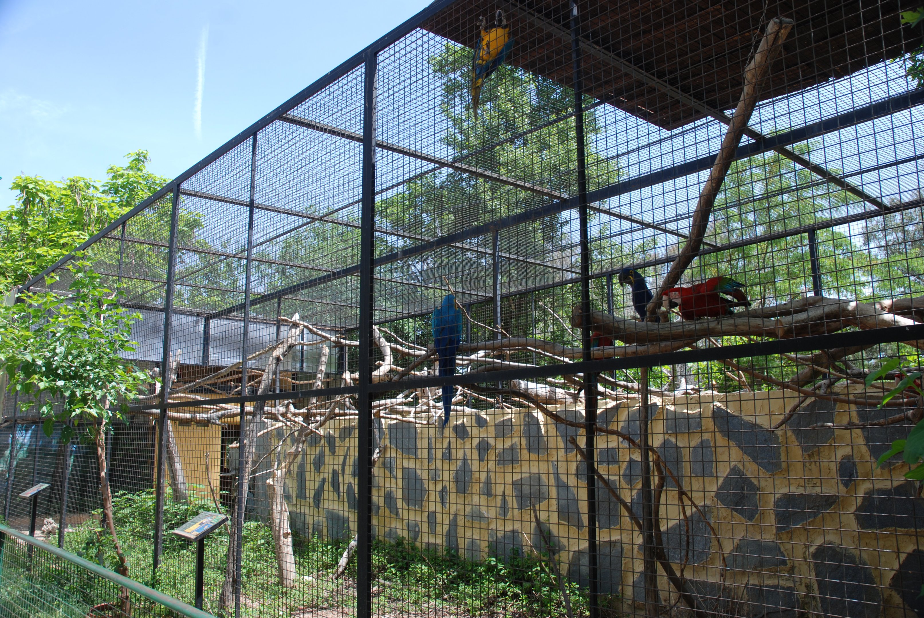 Macaw, Turaco, and Pheasant Aviary at Safari Madrid, 19th May 2022