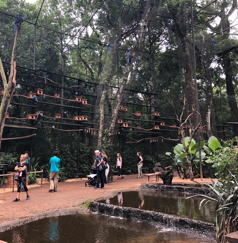Macaw vivarium - parque das aves