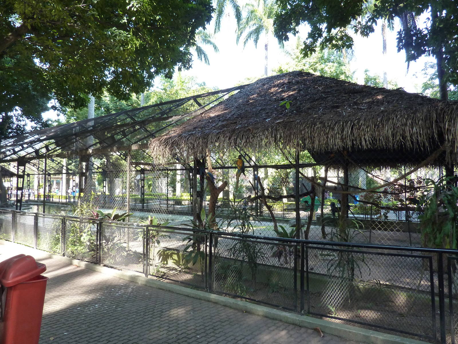 Macaw & waterfowl aviary