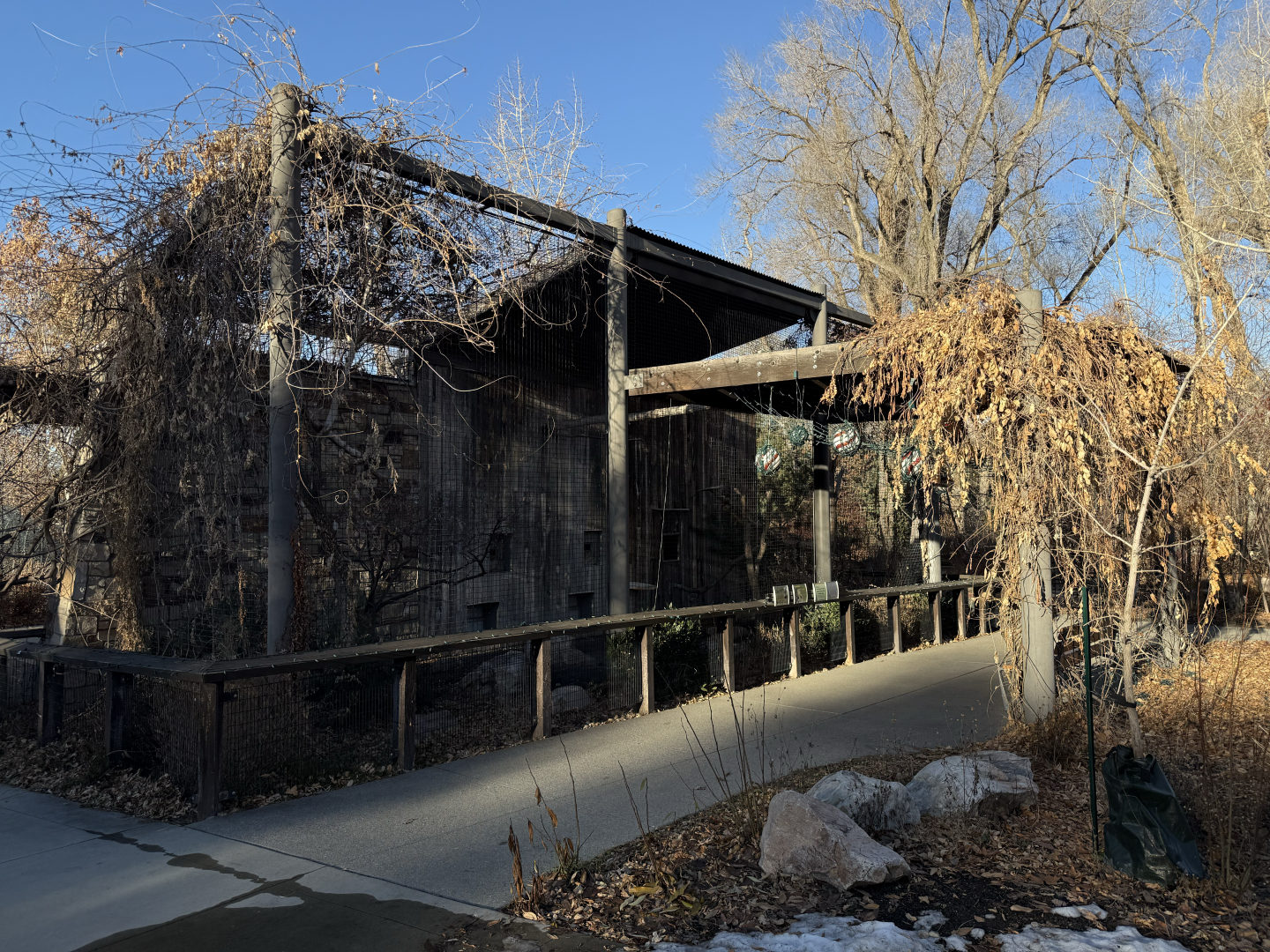 Macaws and King Vultures