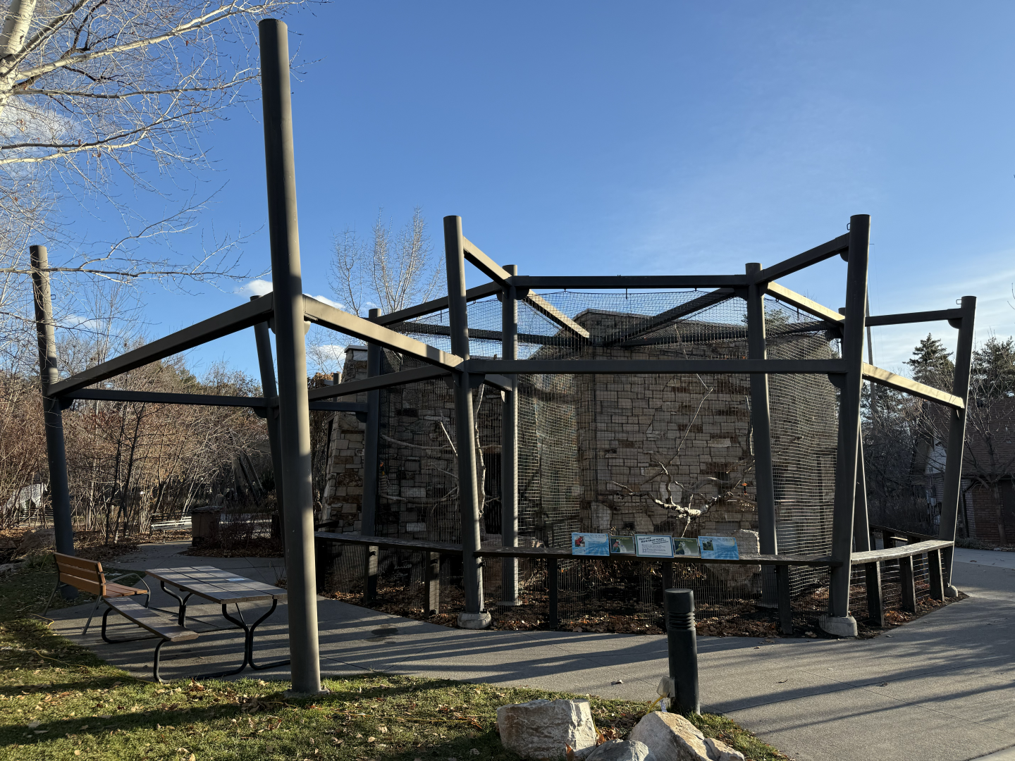 Macaws and King Vultures