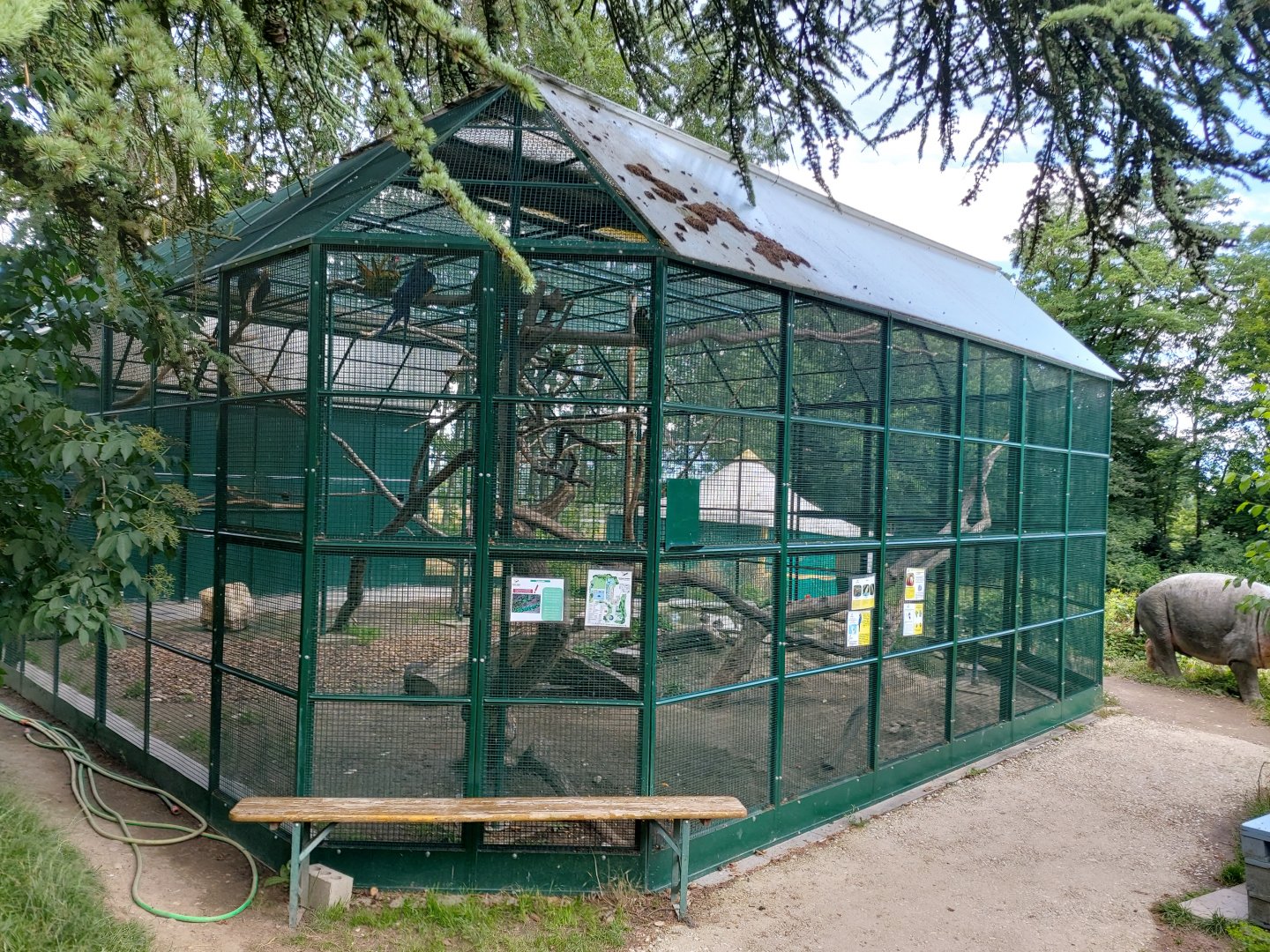 Macaws aviary - Bioparc Genève