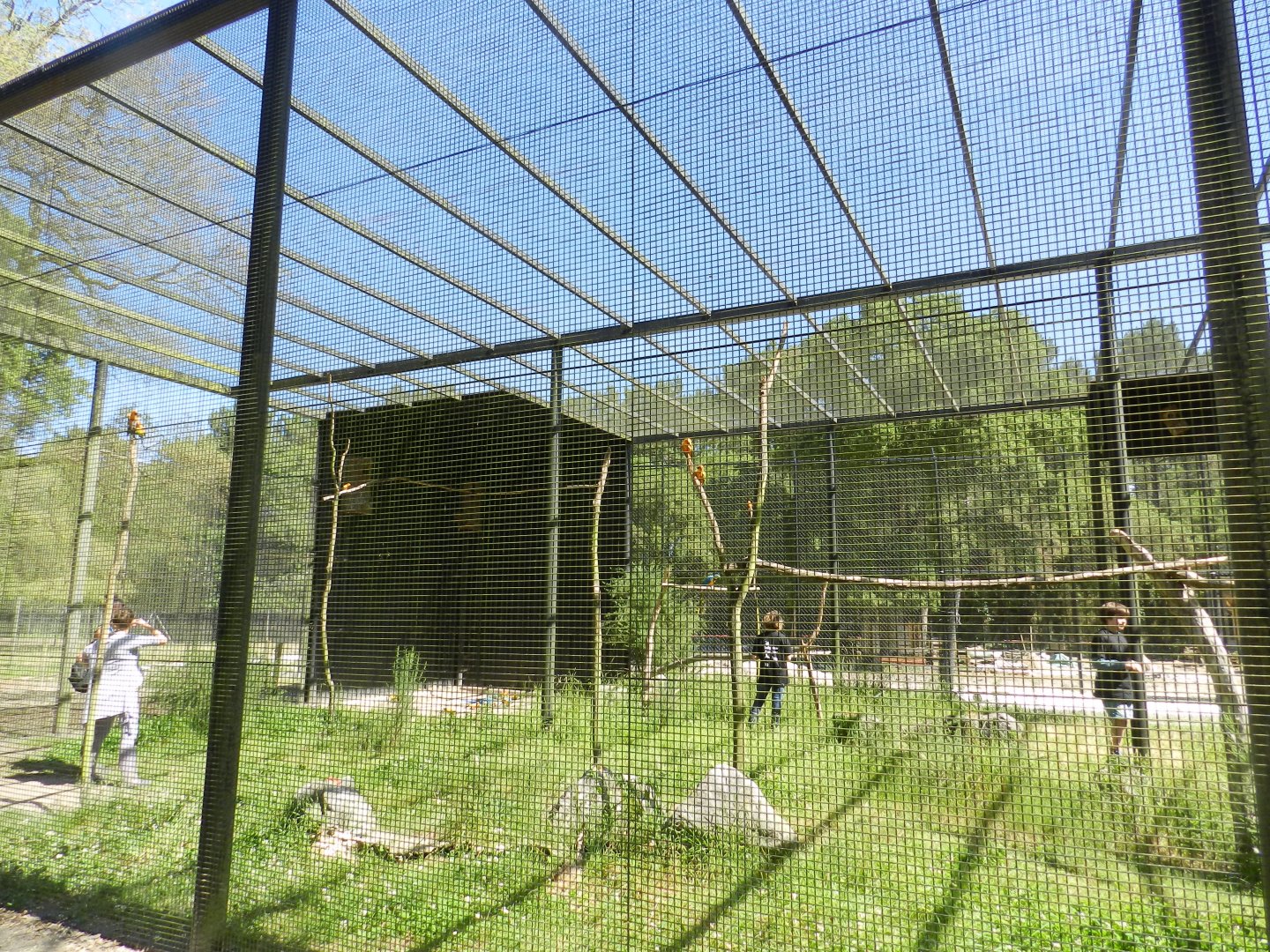 Macaws aviary