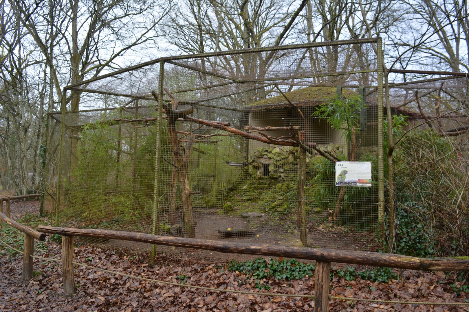 Macaws aviary