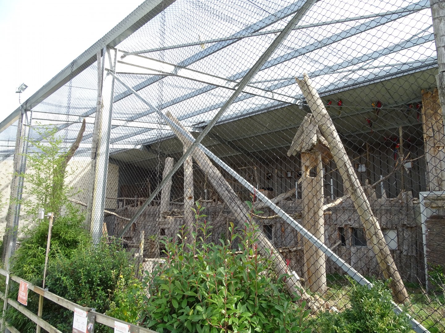 Macaws aviary