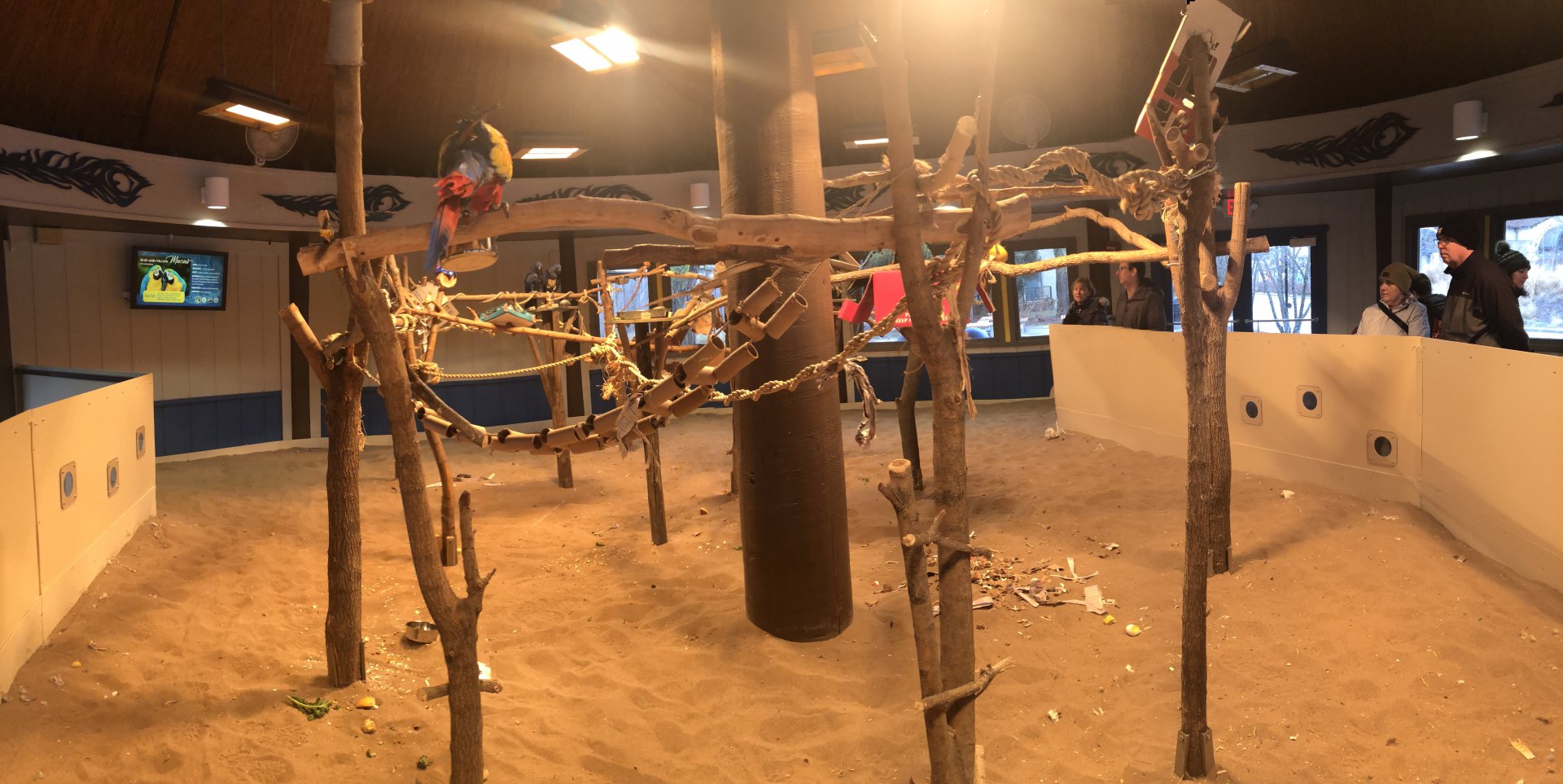 Macaws Indoor Exhibit