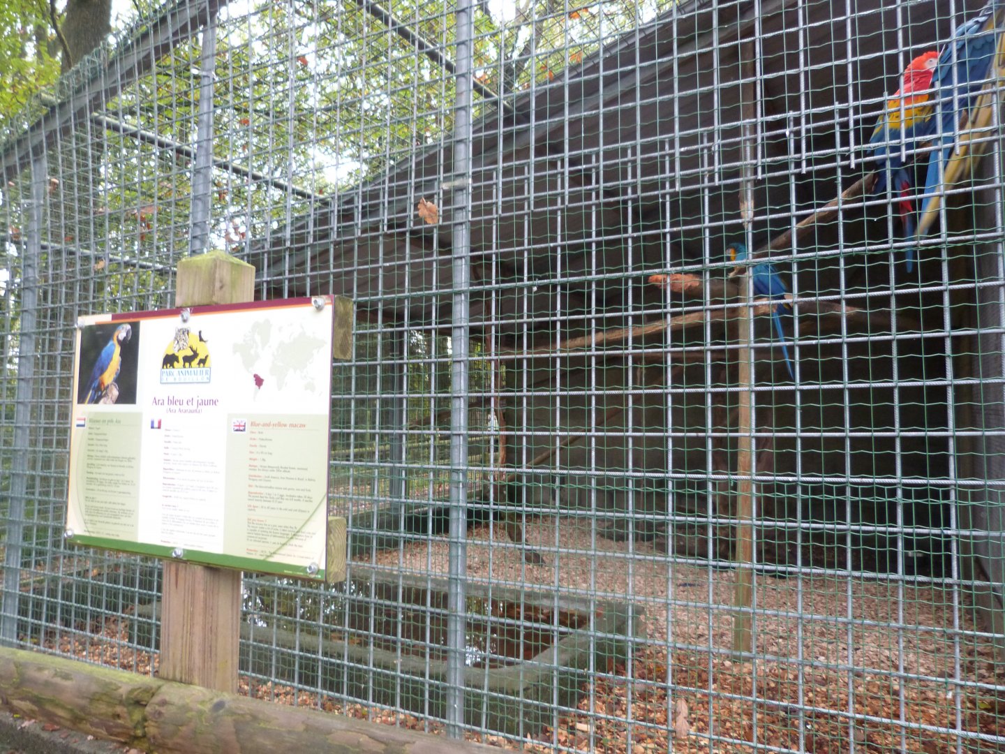 Macaws - Parc animalier de Bouillon