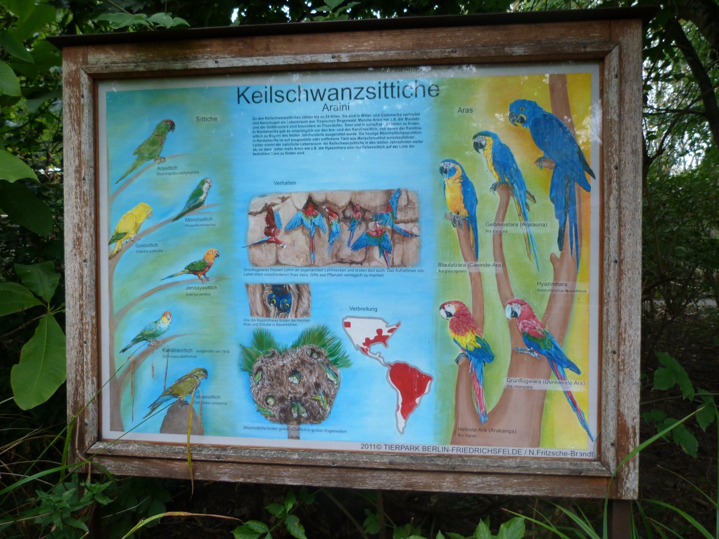 Macaws sign -Tierpark Berlin (2024)