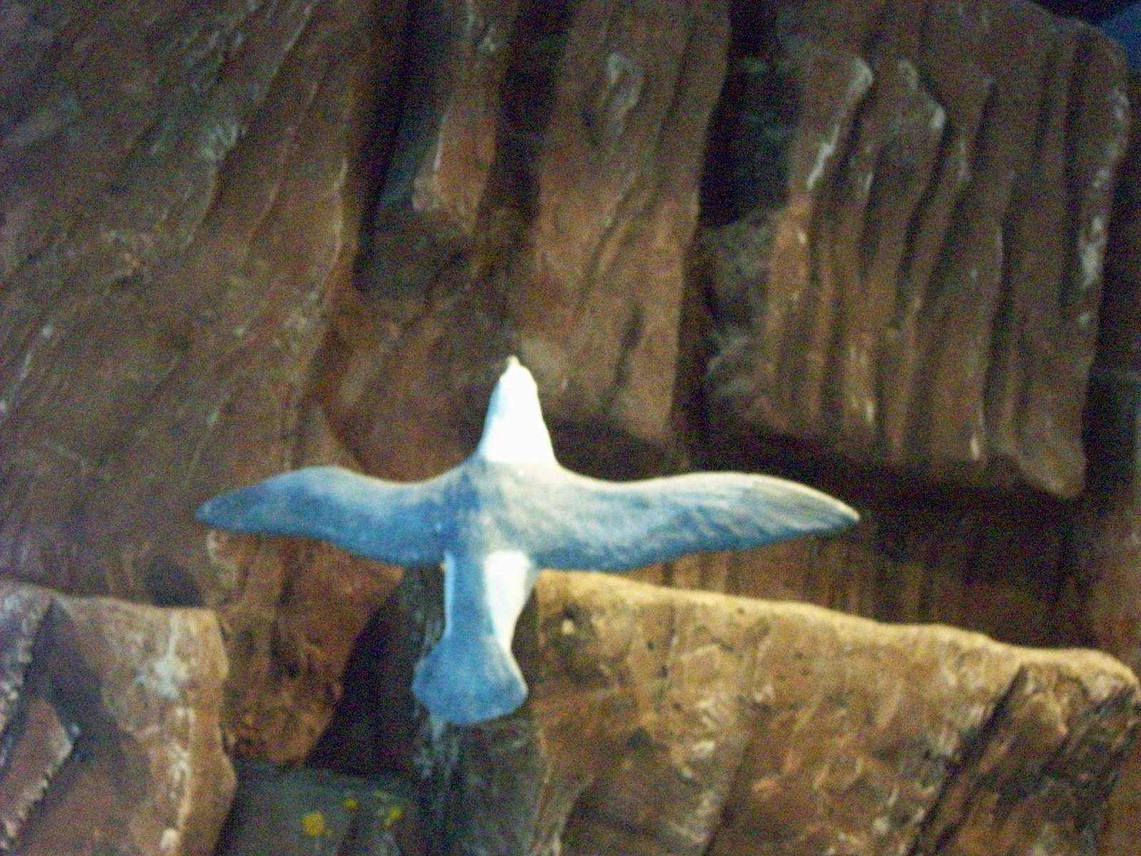 macduff aquarium