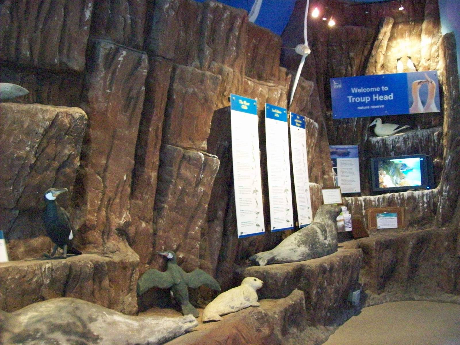 Macduff aquarium