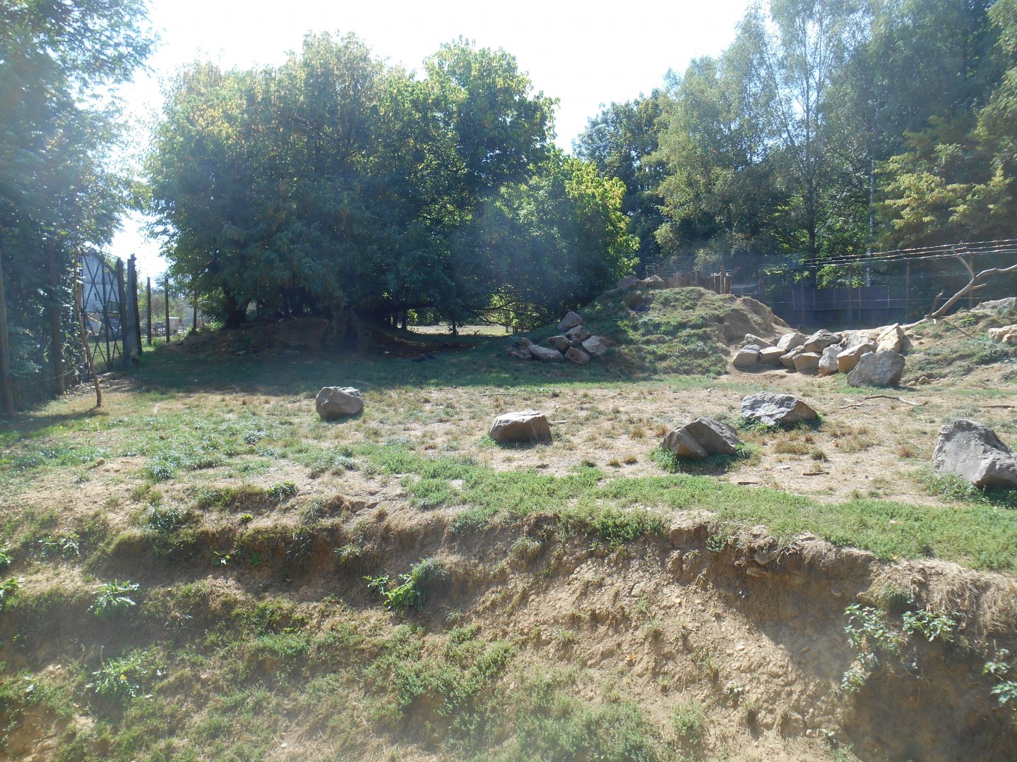 Mackenzie River Wolfs Exhibit