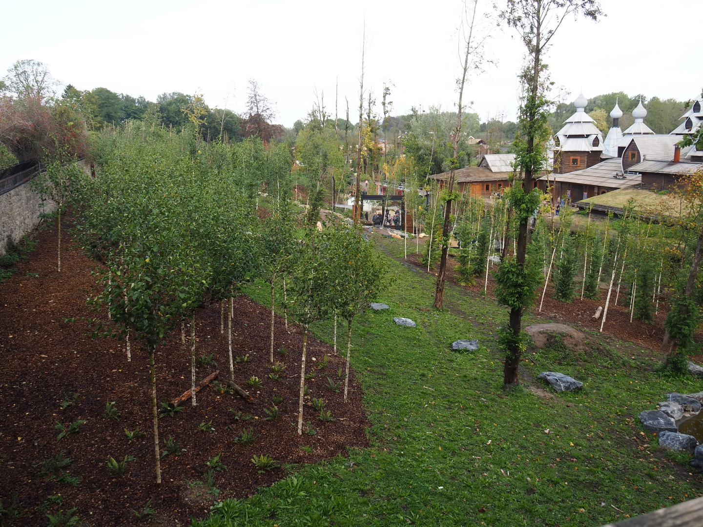 Mackenzie Valley wolf exhibit, 2019-10-04