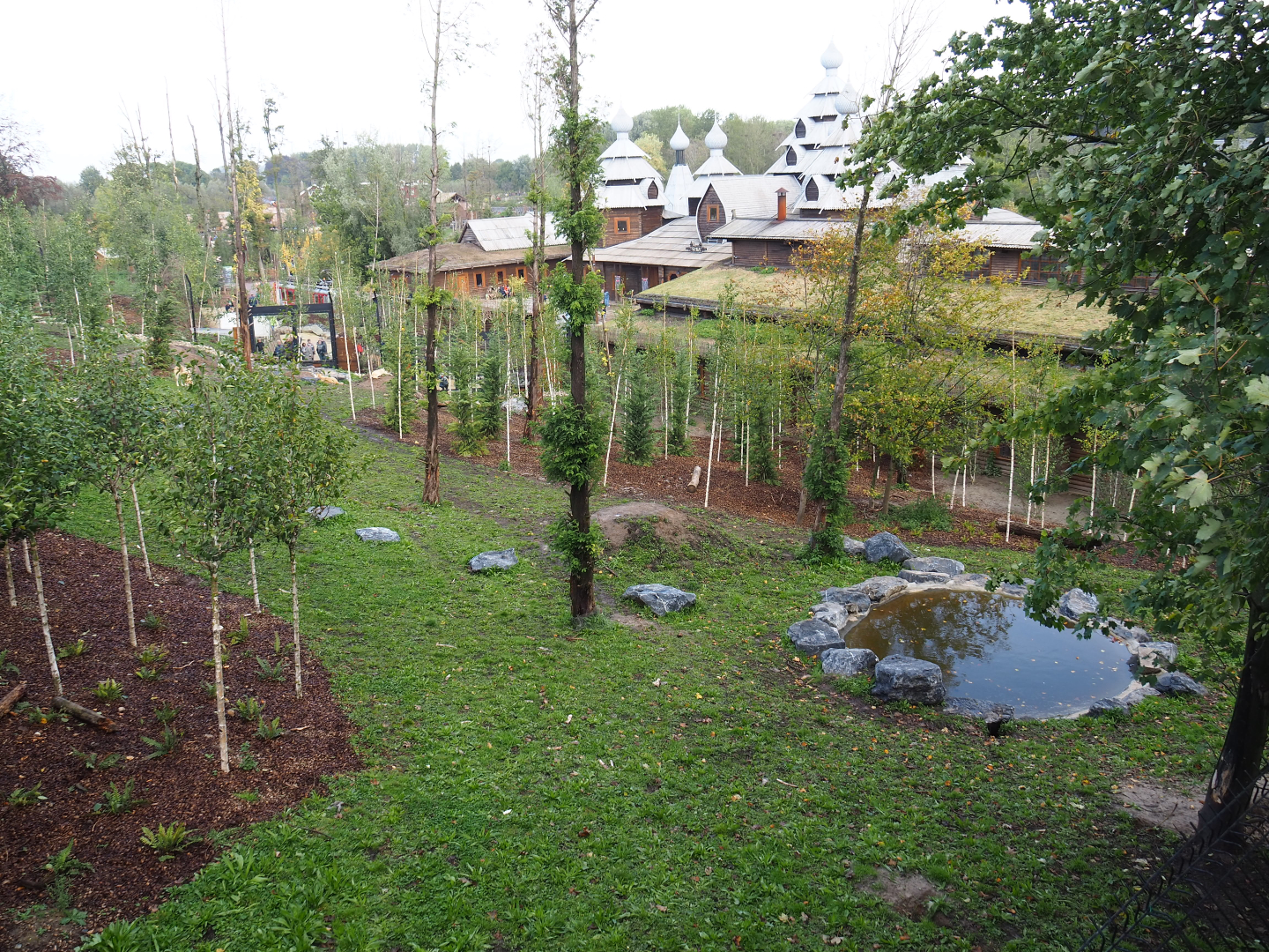 Mackenzie Valley wolf exhibit, 2019-10-04