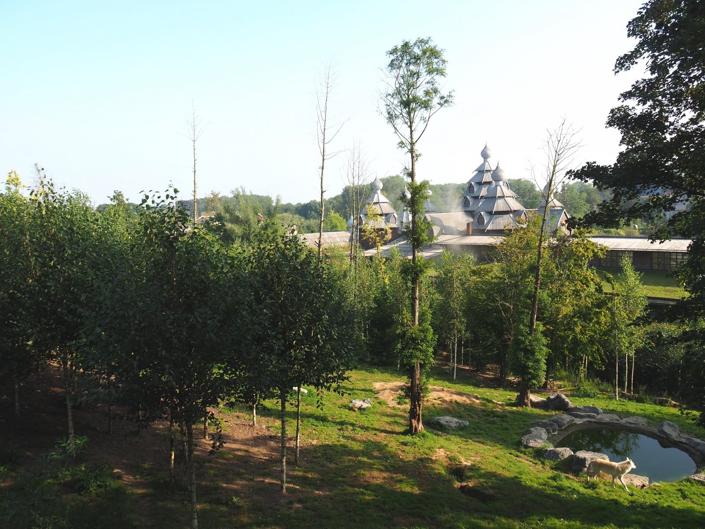 Mackenzie Valley wolf exhibit, 2021-09-02