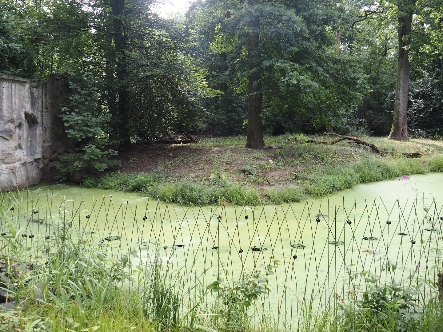 Mackenzie Valley wolf exhibit, 2024-08-05