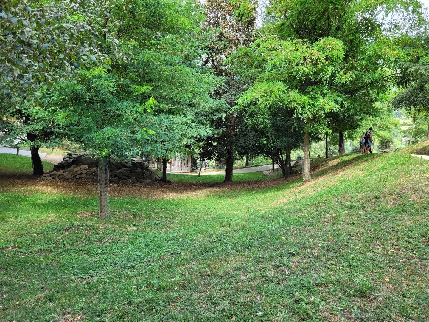 Mackenzie valley wolf exhibit -Parc Animalier des Pyrénées (2023)