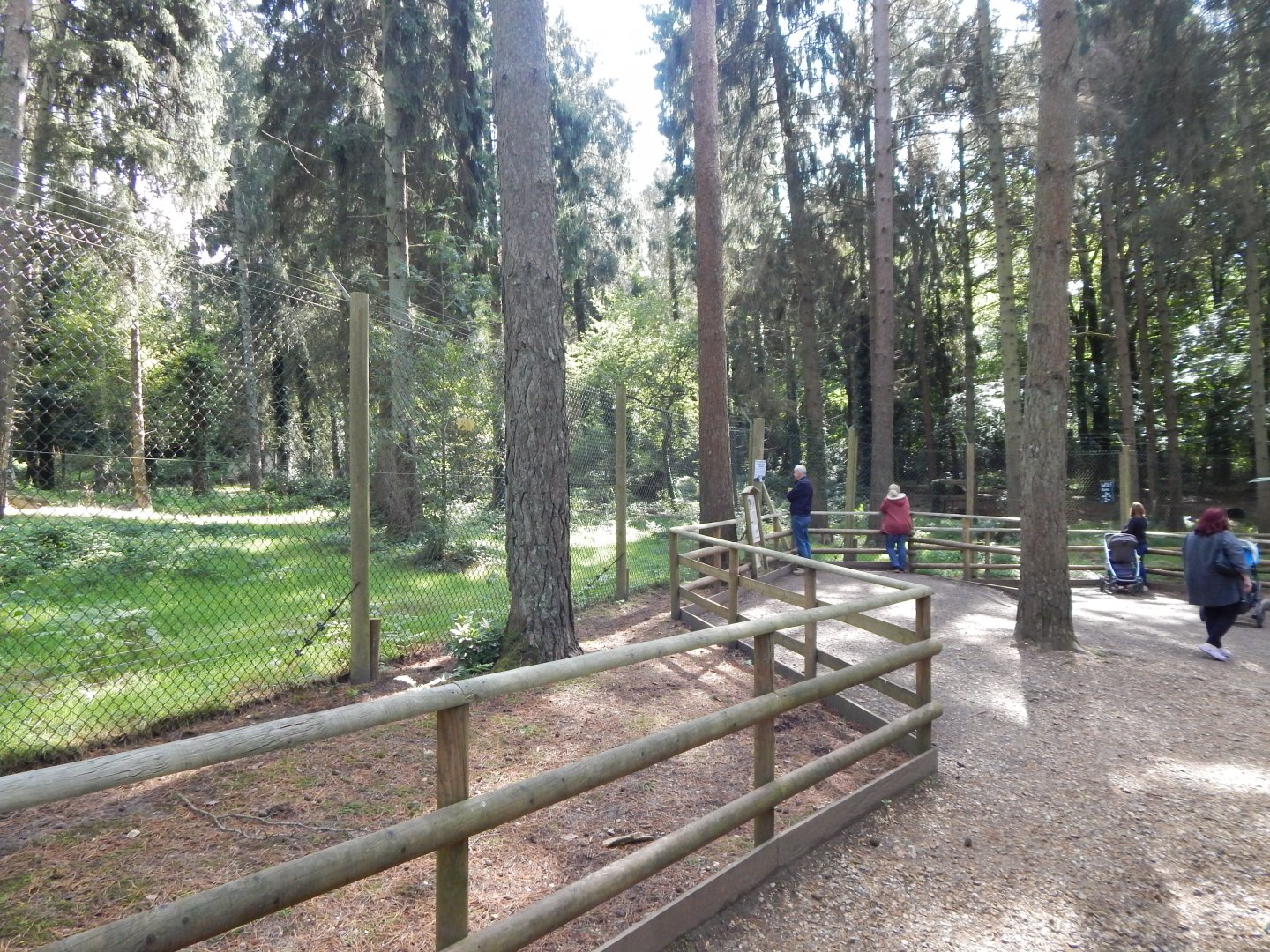 Mackenzie Valley wolf habitat 130924