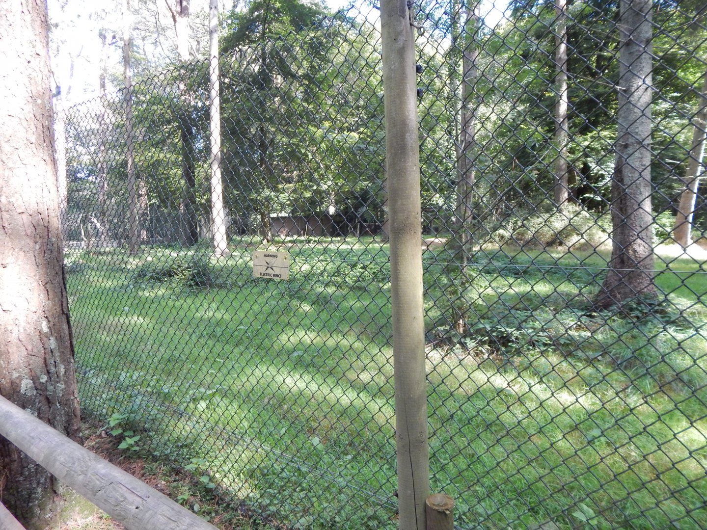 Mackenzie Valley wolf habitat 130924