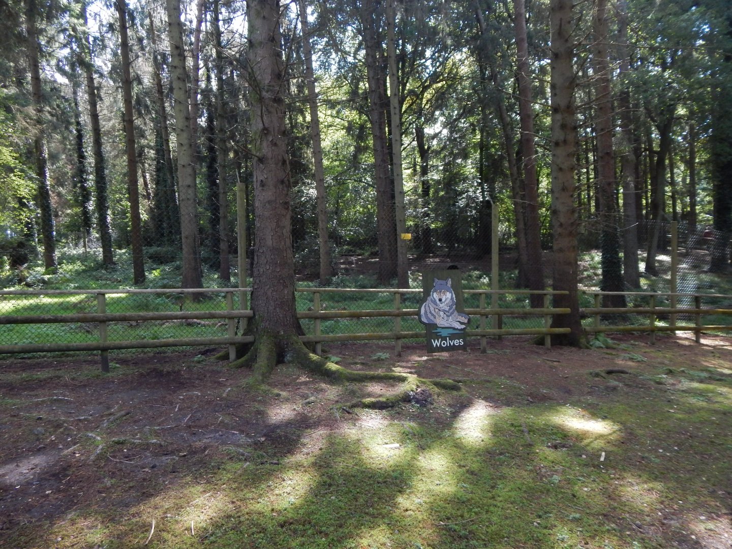 Mackenzie Valley wolf habitat 130924