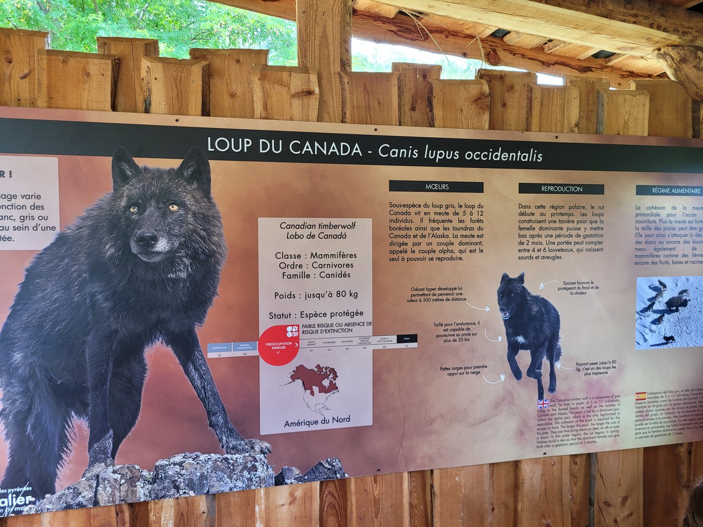 Mackenzie valley wolf sign -Parc Animalier des Pyrénées (2023)