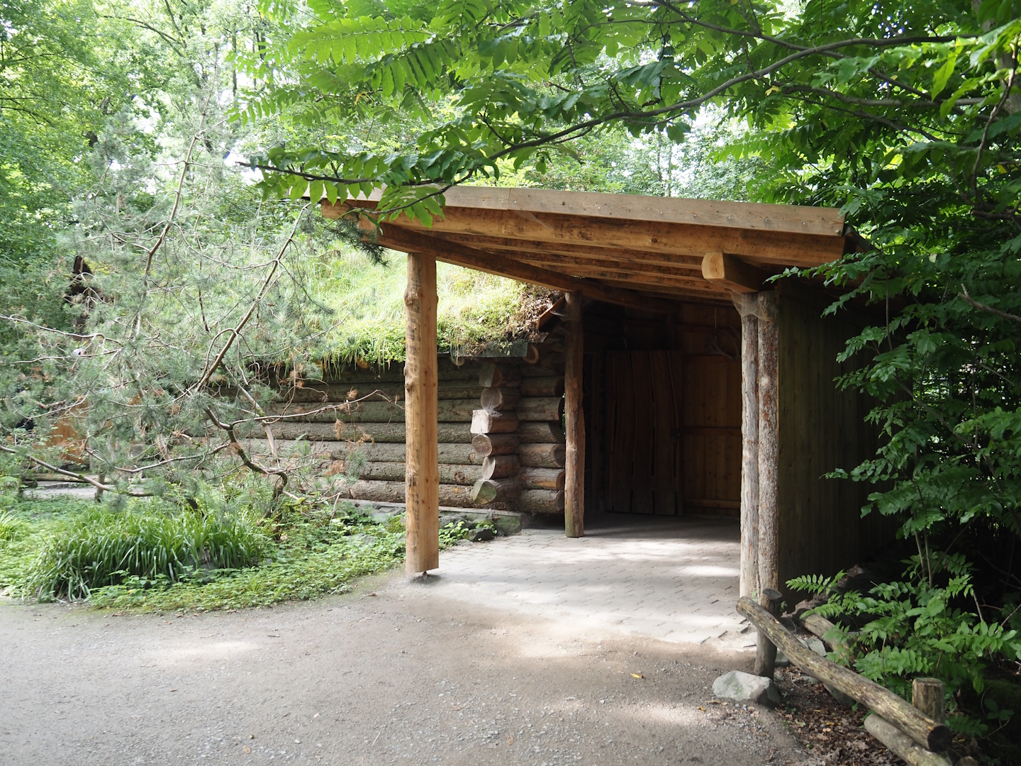 Mackenzie Valley wolf viewing area, 2024-08-05