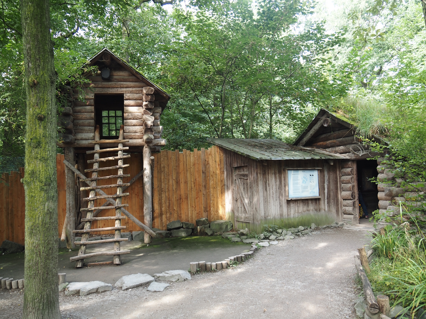 Mackenzie Valley wolf viewing areas, 2024-08-05