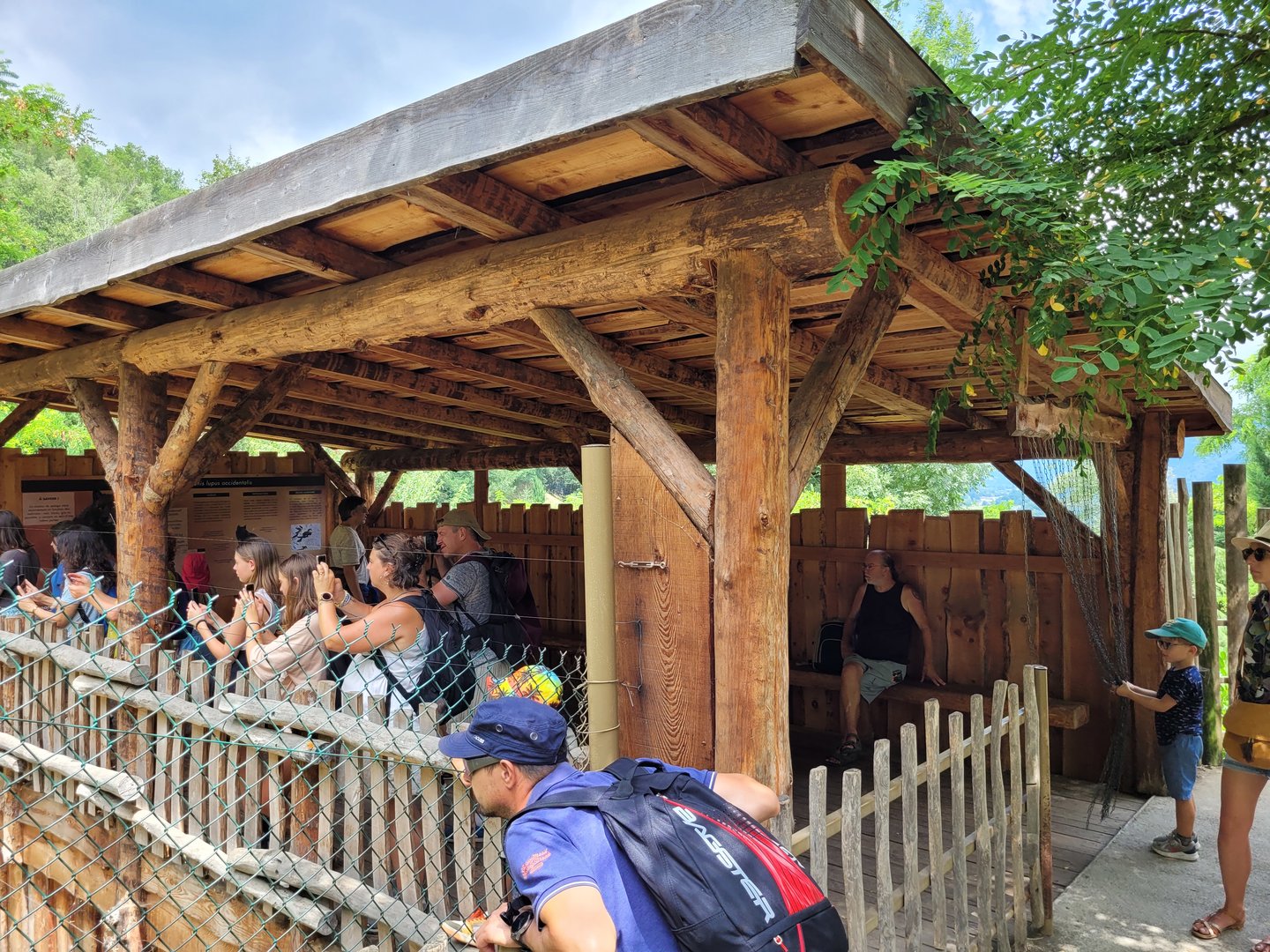 Mackenzie valley wolf viewing point -Parc Animalier des Pyrénées (2023)