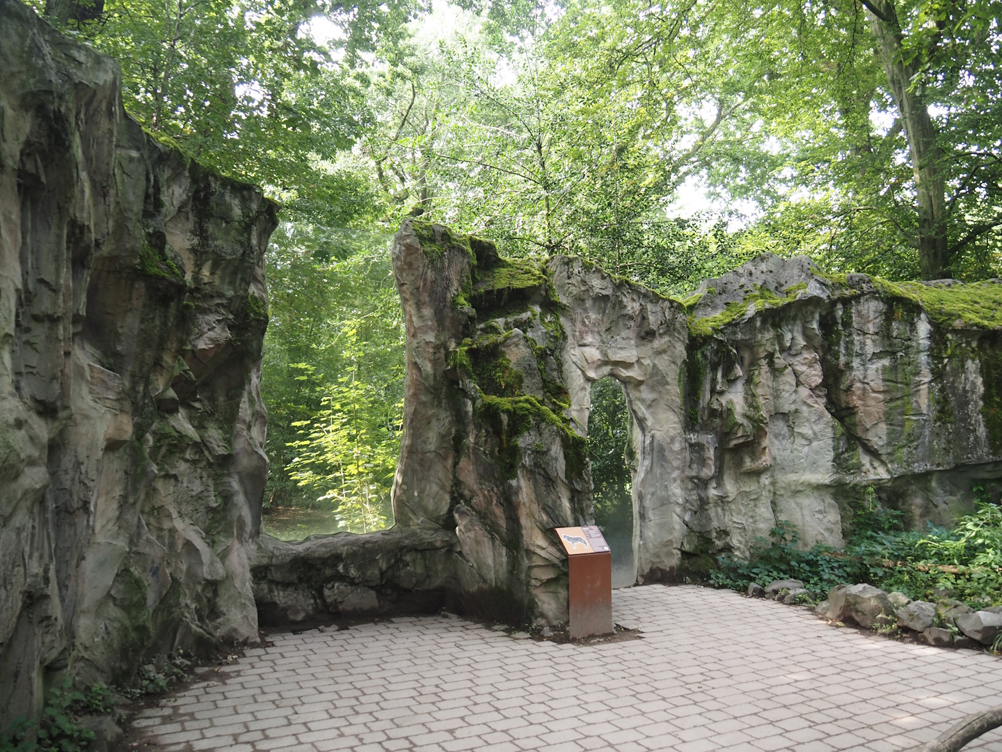 Mackenzie Valley wolf viewing windows, 2024-08-05