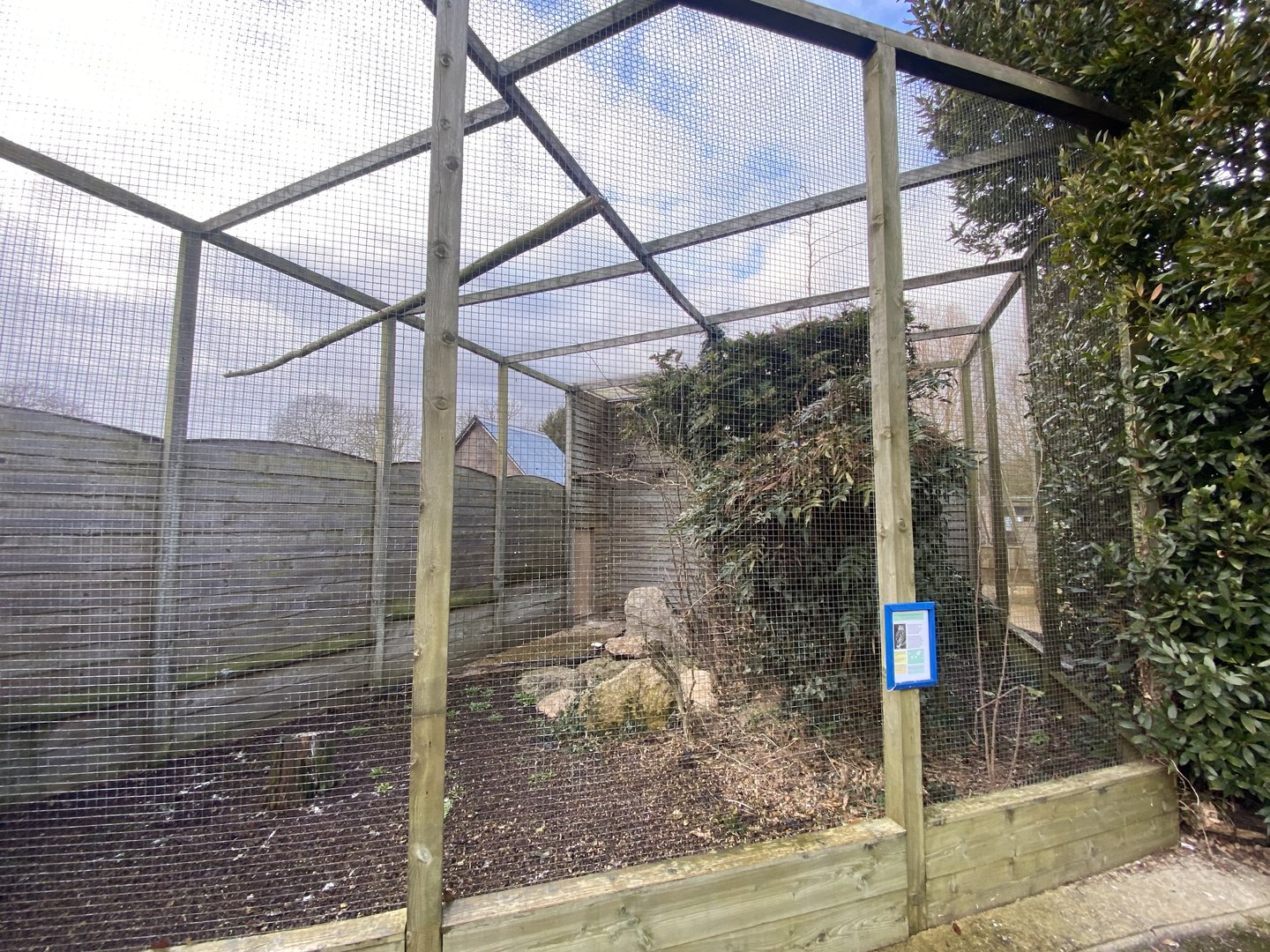 Mackinder‘s eagle-owl aviary 010323